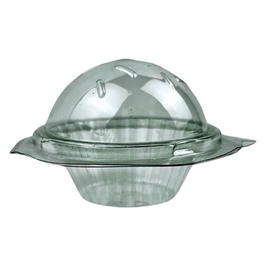 Blister Bolha Transparente – Pacote com 5...