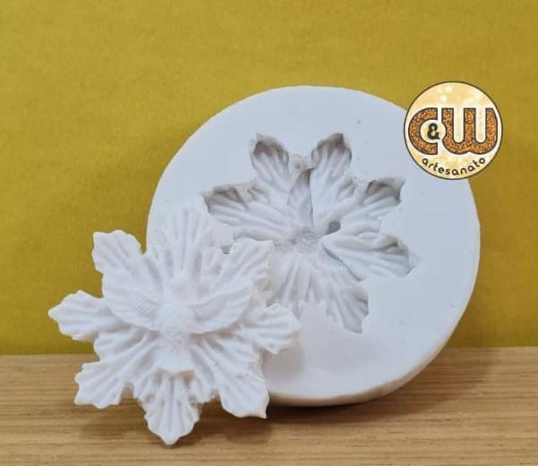 Molde de Silicone – Espírito Santo – Unidade