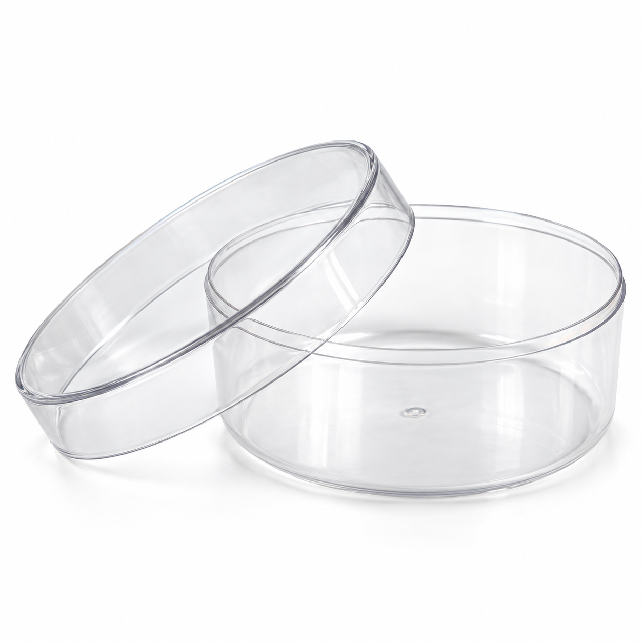 Cake Box Com Tampa Redonda Transparente 5...