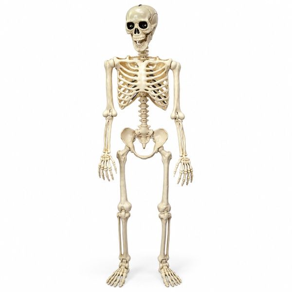 Caveira Esqueleto Halloween 165cm Com Luz...