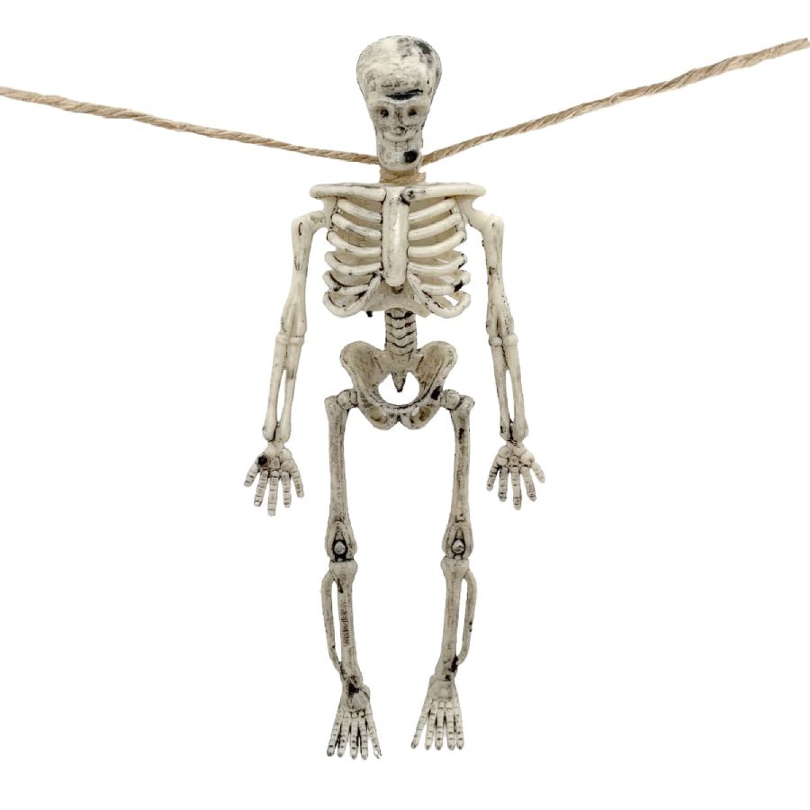 Mini Esqueleto 6 peças 1,5m – Unidade