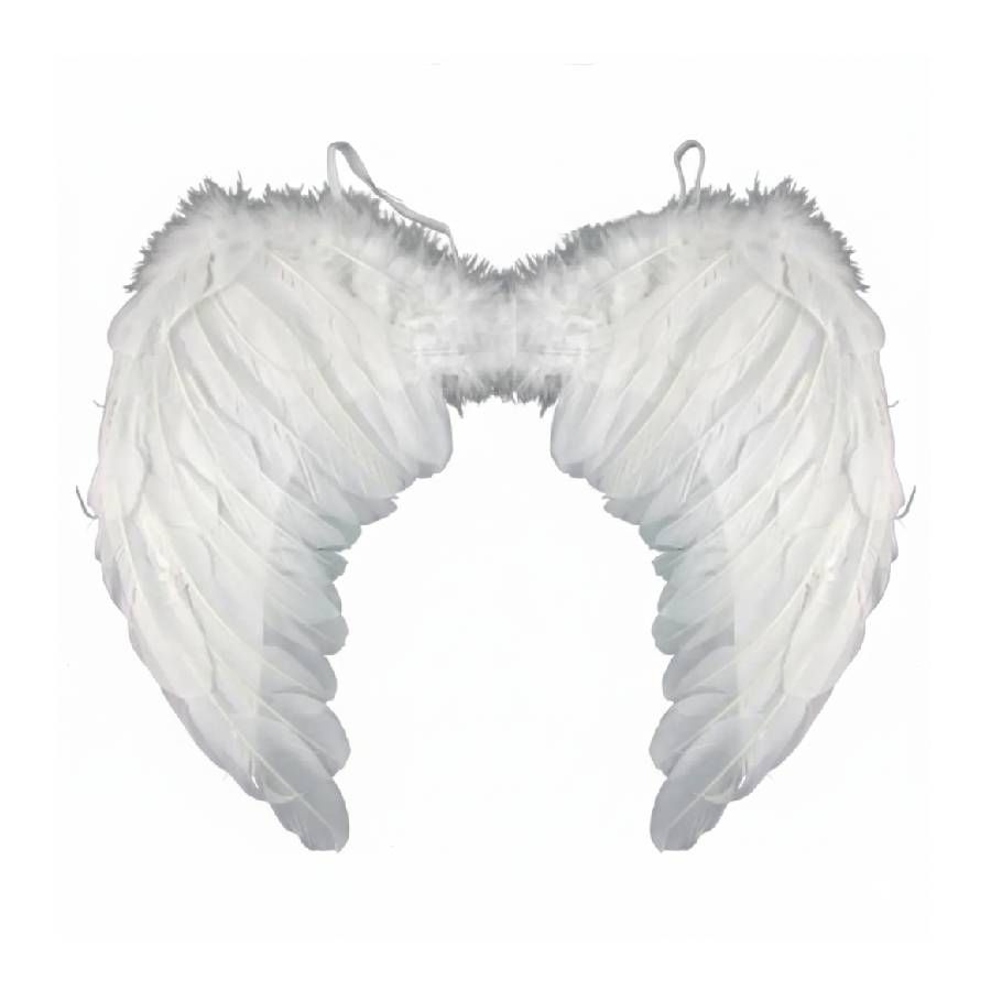 ASA DE ANJO