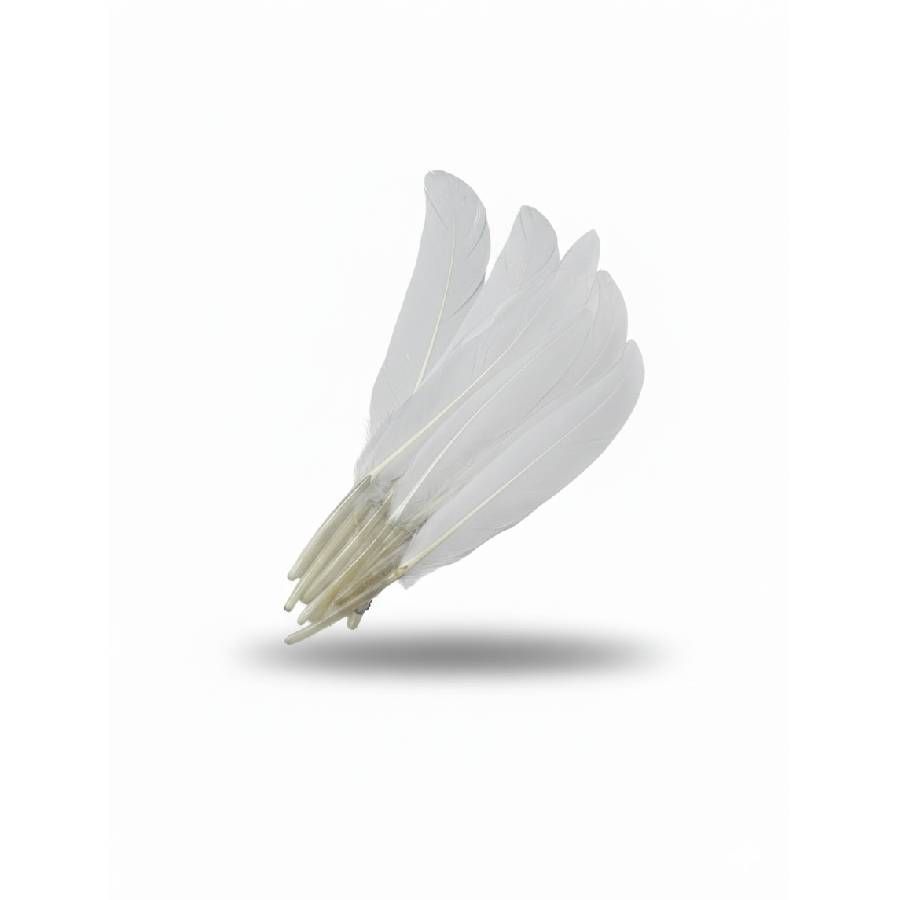 PENA BRANCO - 14 CM X 12 CM - 10 UNID