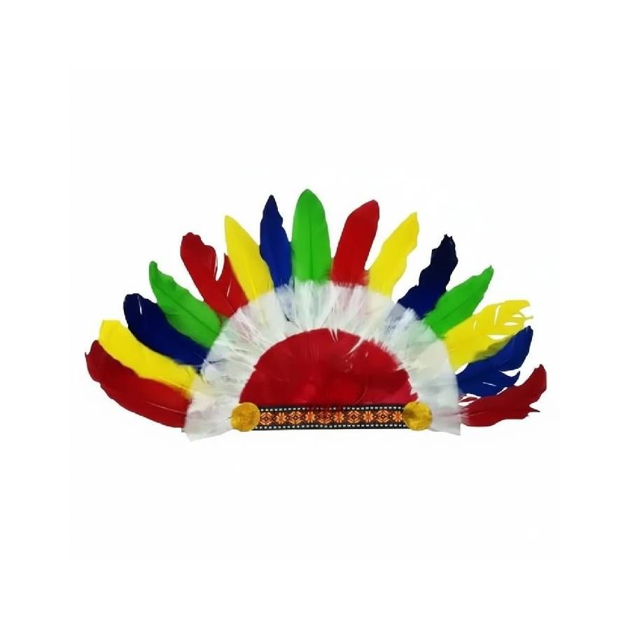 Cocar Índio Colorido