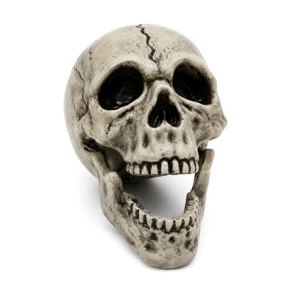 Caveira Decorativa Halloween Boca Móvel E...